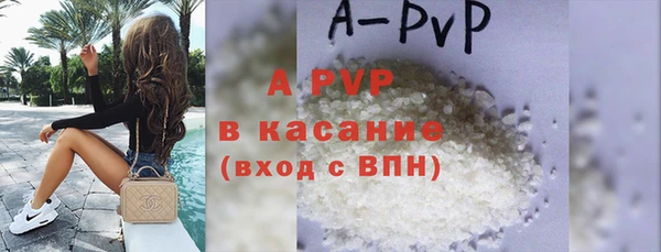 индика Алексин