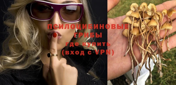 амф Абинск