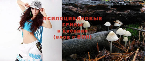 амф Абинск