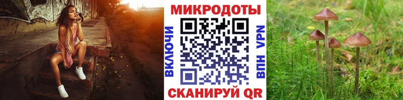 цена наркотик Черноголовка Псилоцибиновые грибы Psilocybe