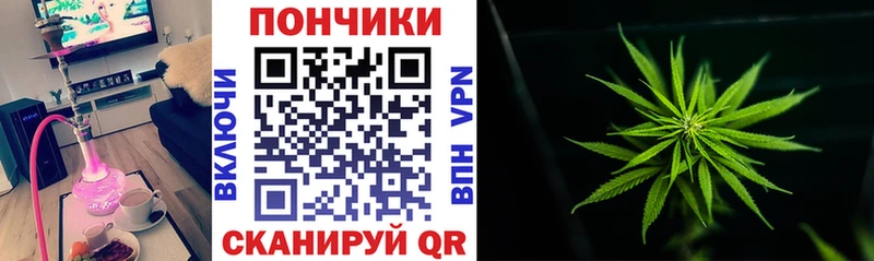 kraken онион  Черноголовка  МАРИХУАНА гибрид 